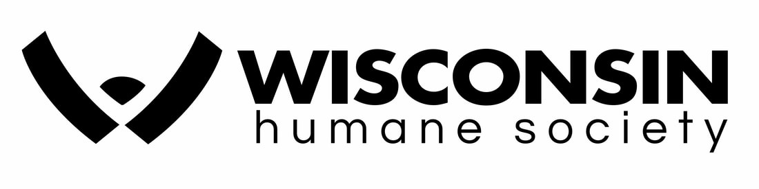 Wisconsin humane anton sariev epicor software corp